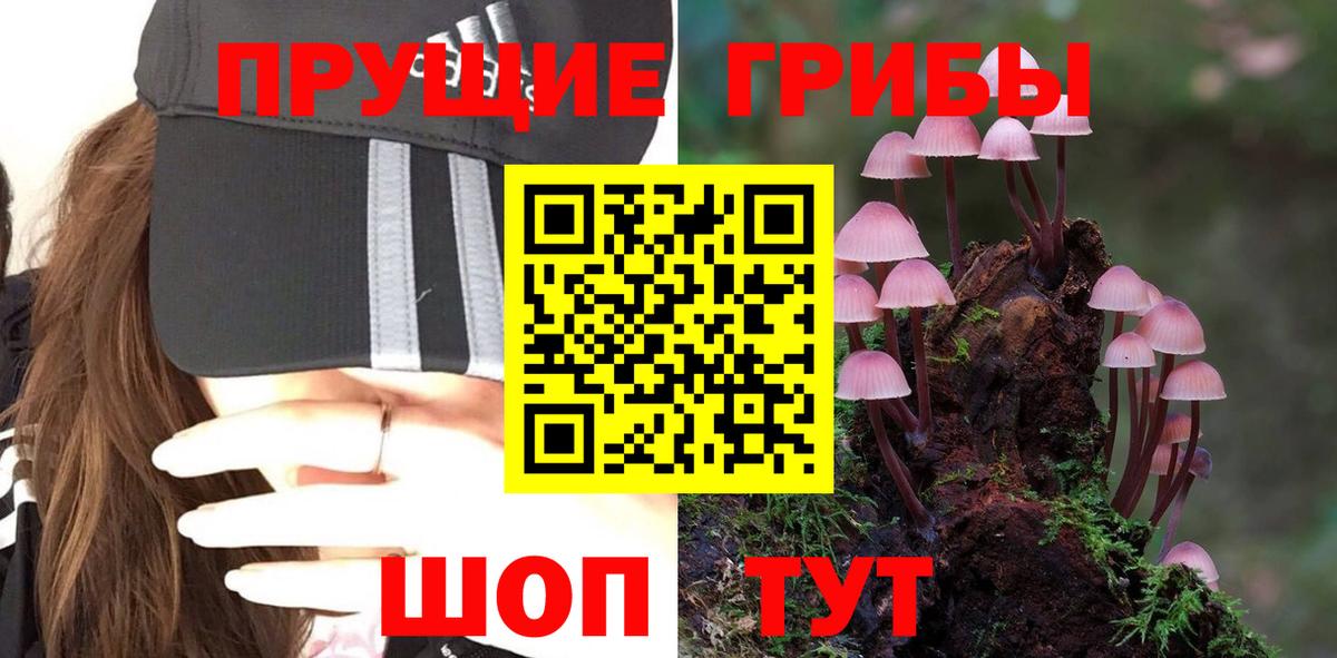 Псилоцибиновые грибы GOLDEN TEACHER Каменск-Уральский