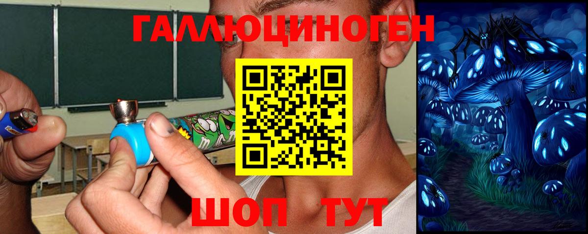даркнет сайт  Вход с VPN  Каменск-Уральский  Псилоцибиновые грибы Psilocybine cubensis  Псилоцибиновые грибы прущие грибы 